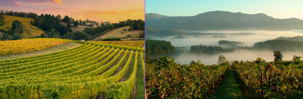 captura de pantalla 2025 12 09 094840