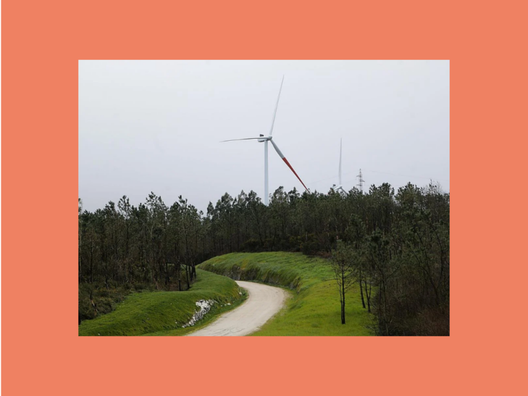 copia de copia de aiaraldea lanean (1)