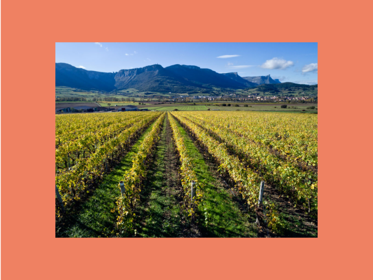 copia de copia de aiaraldea lanean (5)